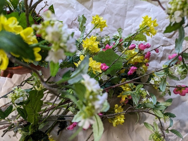 PXL_20240226_005008970.jpg