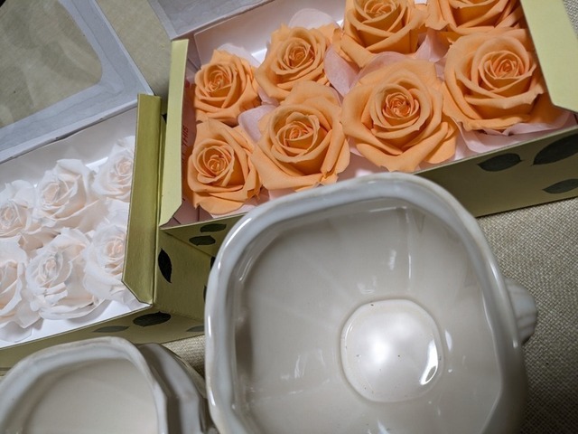 PXL_20240323_123958181.jpg