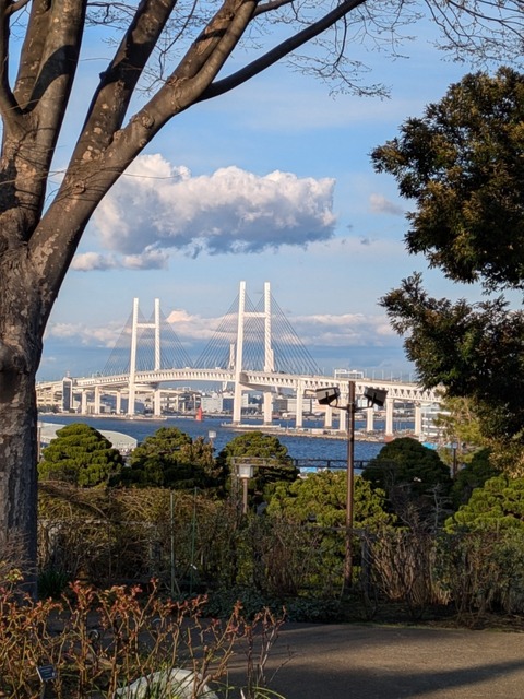 PXL_20250319_074619836.jpg