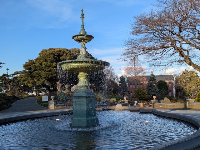 PXL_20250319_074939839.MP.jpg