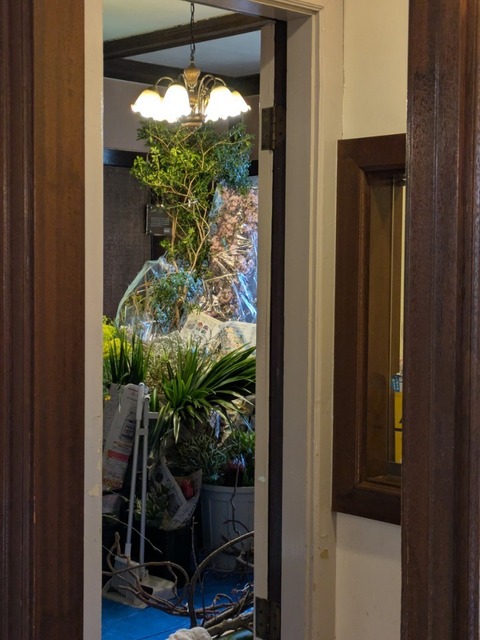 PXL_20250319_075145920.jpg