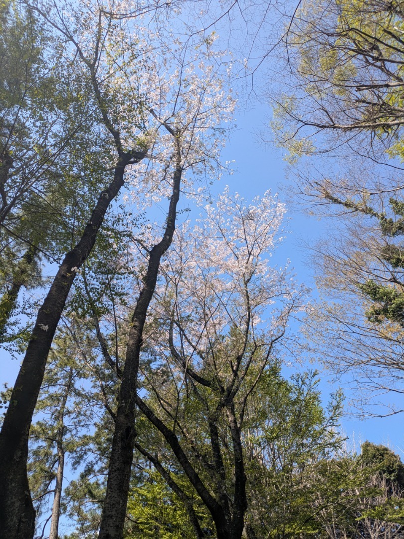 PXL_20250409_044856563.jpg