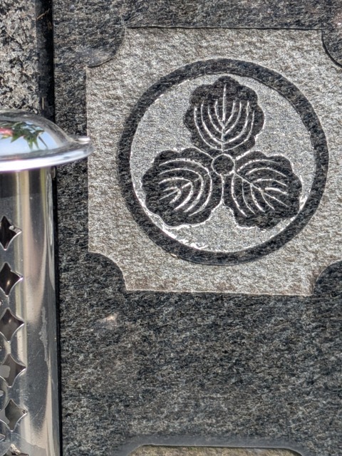 PXL_20250419_055602873.jpg
